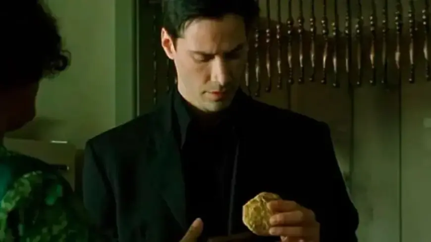 90 Hilarious Programmer Memes for Developers and Tech Enthusiasts (New Pics)