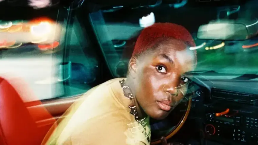 Arlo Parks’ New Album “Desire” Reviewed: A Dive into Ambiguity