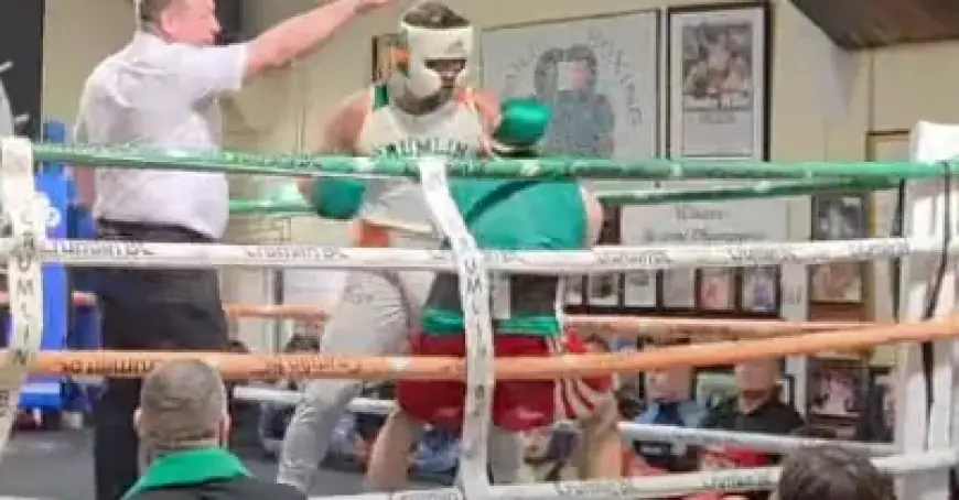 Conor McGregor Earns Dual Standing 8 Counts in Surprise Boxing Exhibition Video