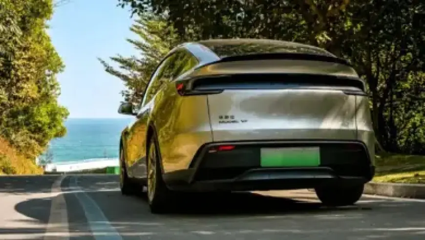 Inside ‘Pig Butchering’: Scams Costing Australians $2 Billion