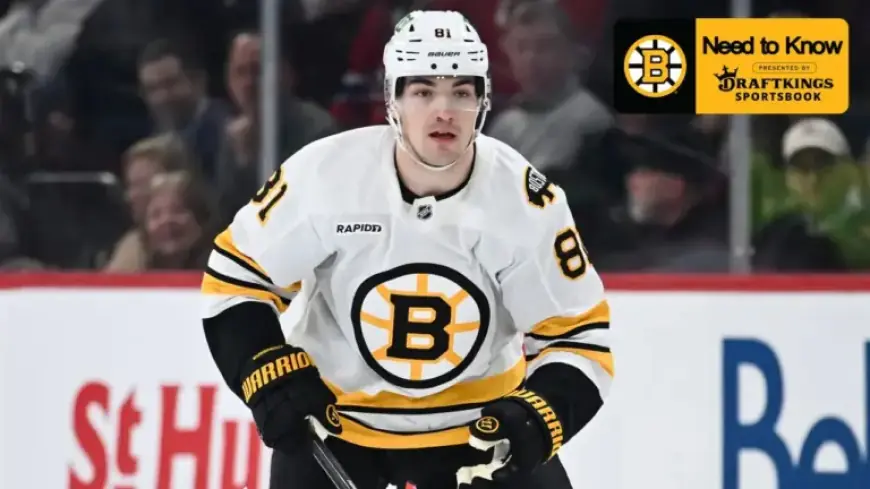 Bruins Face Lightning: Key Match Preview