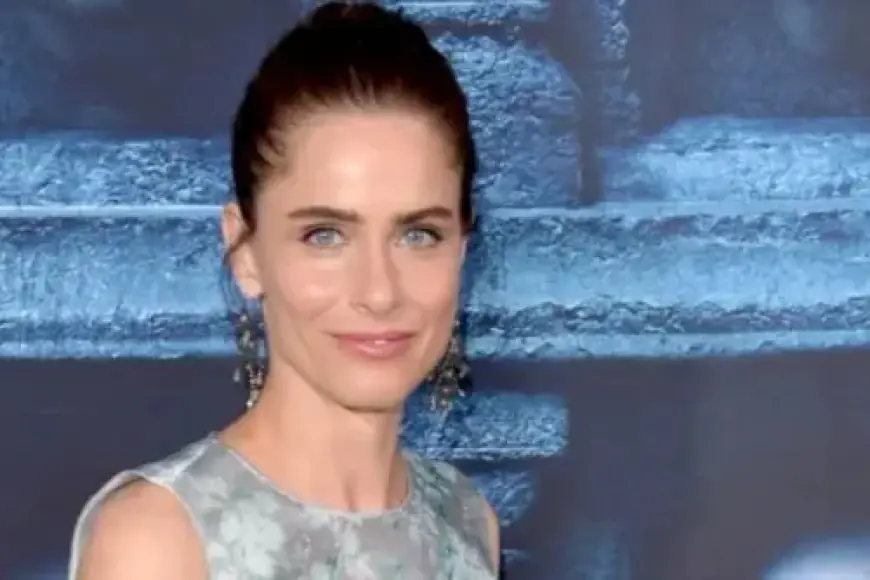 Amanda Peet Criticizes ‘Ridiculous’ Hollywood Industry Practices