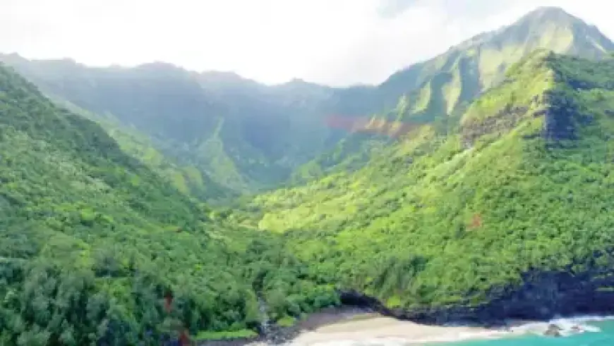 Liga MX’s Jornada 13 Kicks Off Final Race for Aguirre’s World Cup Squad