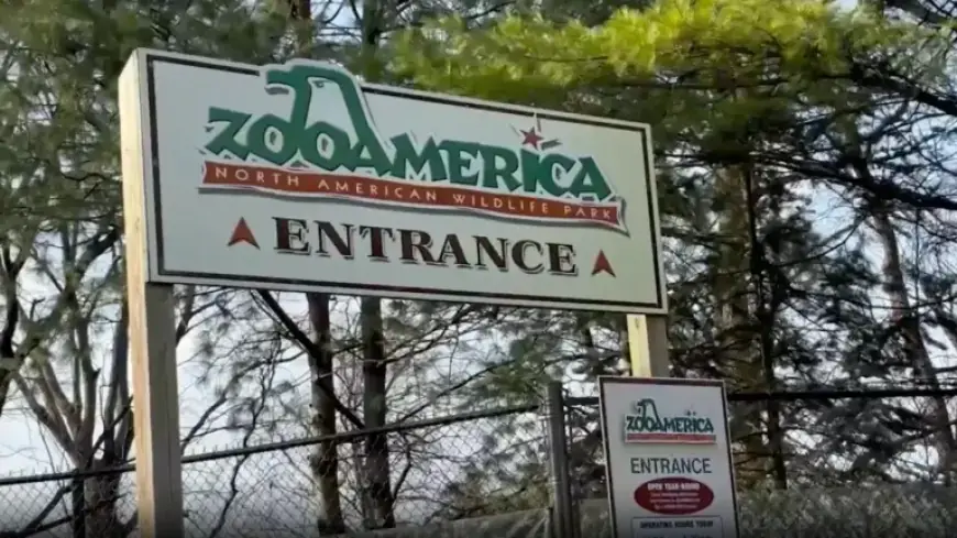 Wolf Injures Toddler at ZooAmerica After Hand Enters Enclosure