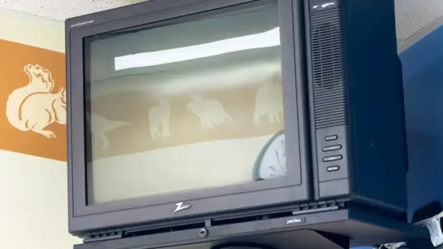 The Disappearance of Zenith TVs: Unraveling the American Brand’s Decline