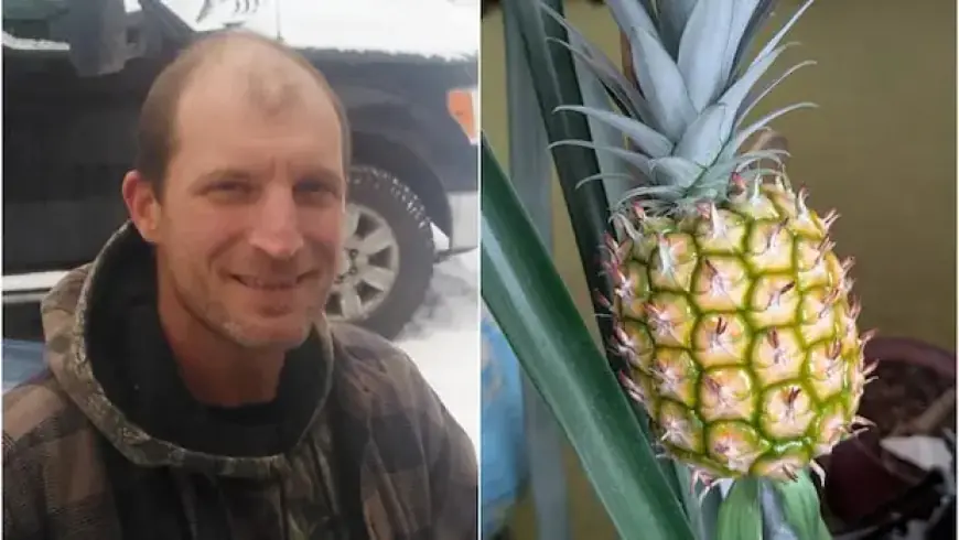 Yukon Resident Cultivates Pineapple at Home in Just 9 Years