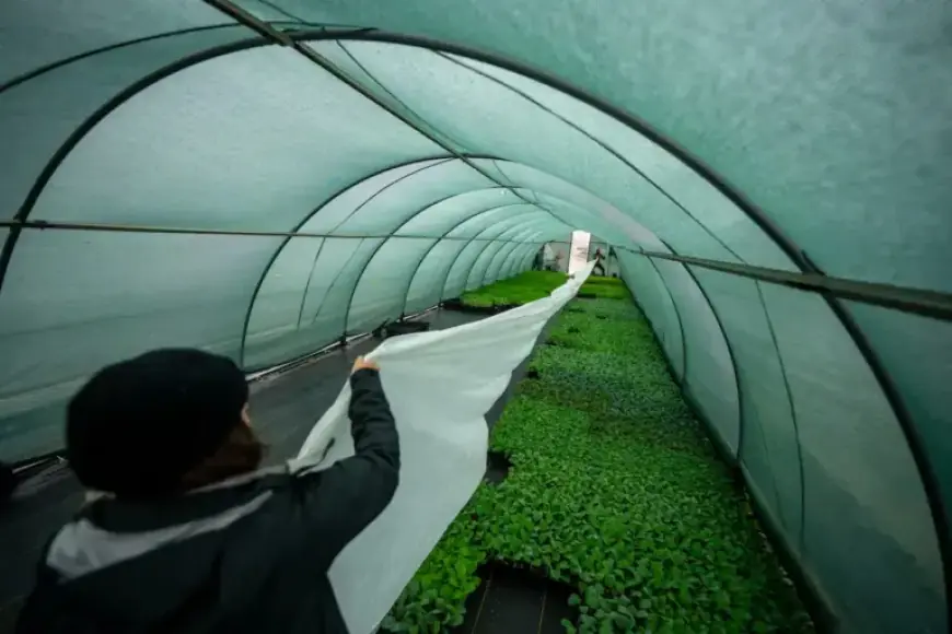 Utah Faces Freeze Warning Amid Rain, Snow, and Hail