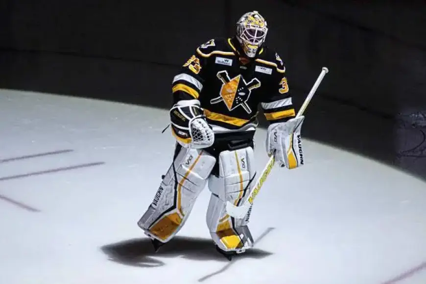 Penguins Recall Goaltender Taylor Gauthier and Forward Avery Hayes