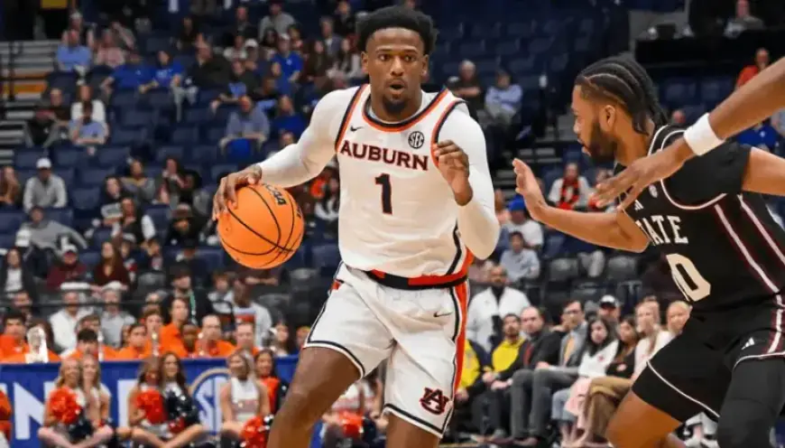 Tulsa vs Auburn: Predictions, Picks & Odds for NIT Final Tonight