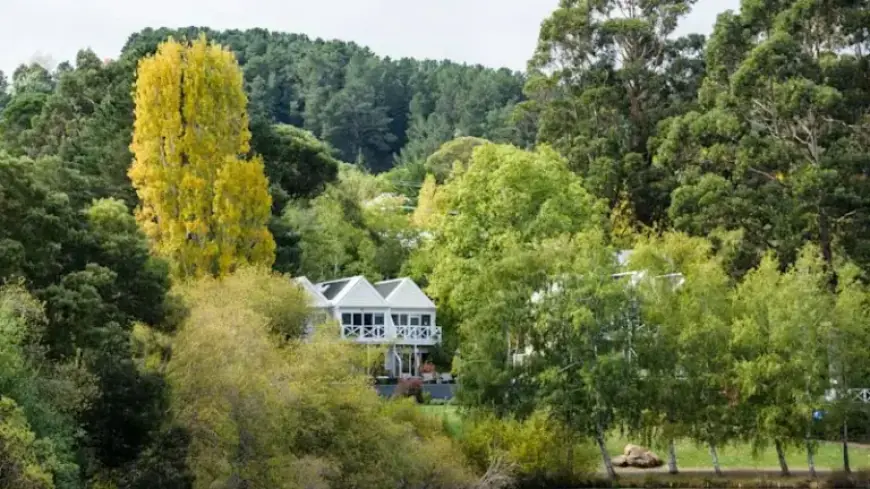 Essential Insights for Your Tree Change Journey