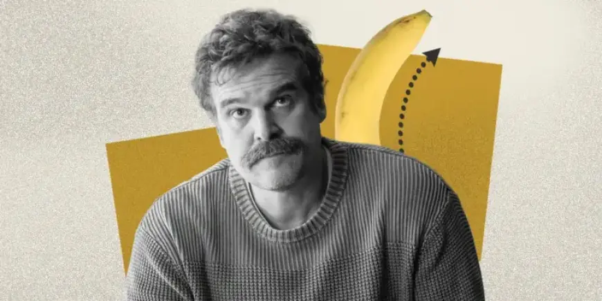 ‘DTF St. Louis’ Highlights Peyronie’s Disease and Penile Curvature.