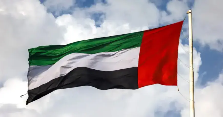 UAE Thwarts Nine Ballistic Missiles, One Cruise Missile, and 50 Drones Sunday