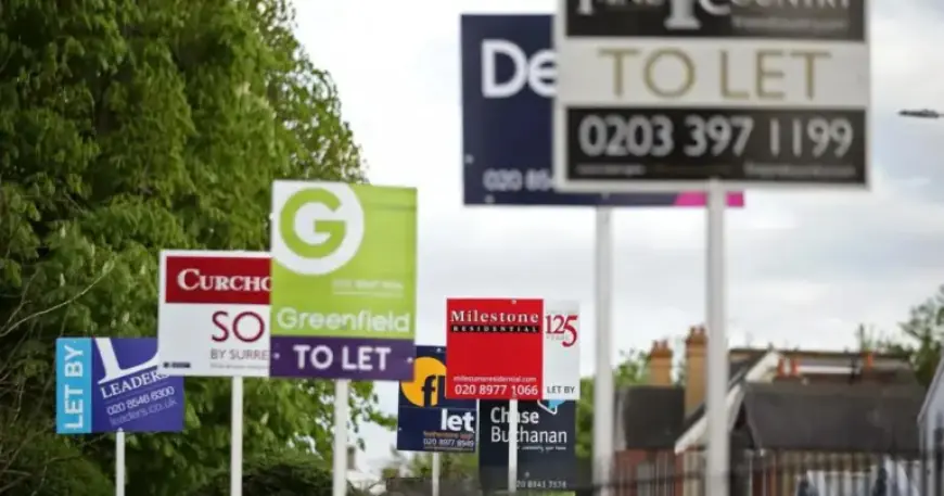 UK Estate Agents Enter Liquidation, Viewings Halted