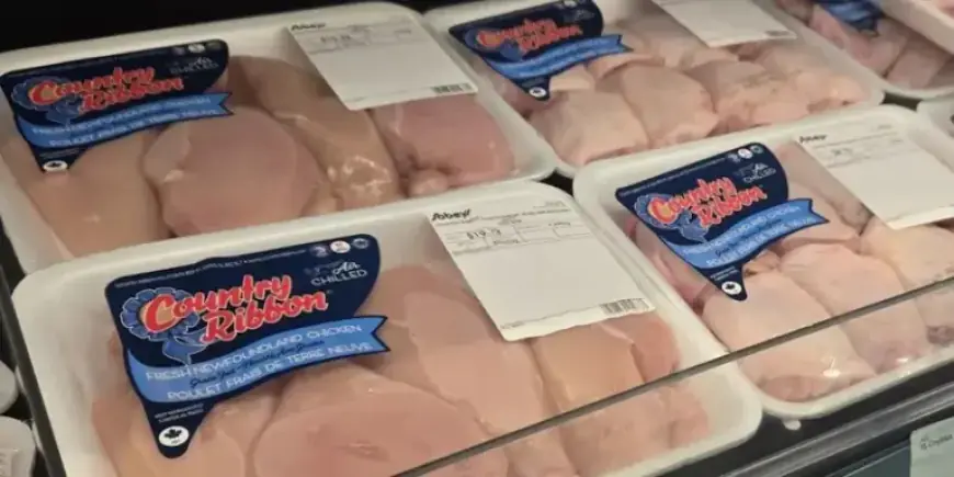 Statistics Canada Reports 6% Increase in February Food Prices Year Over Year