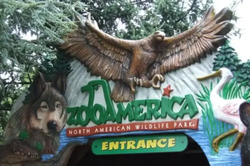 Hershey Police Charge Parents After Wolf Injures Child at ZooAmerica