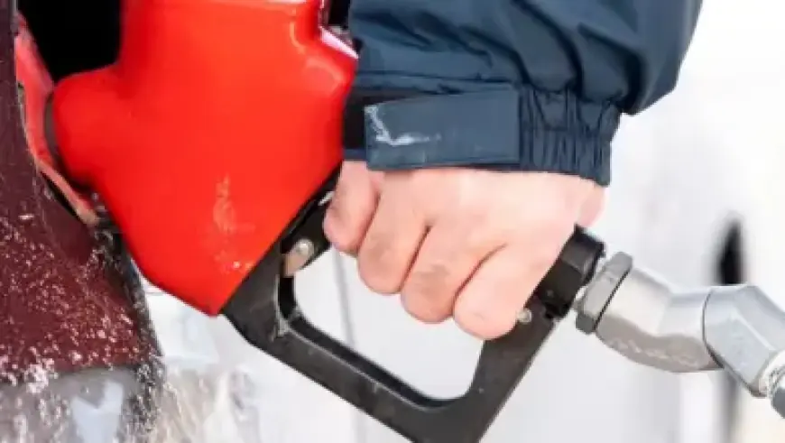 Freedom Mobile Thrives Under Quebecor’s Leadership