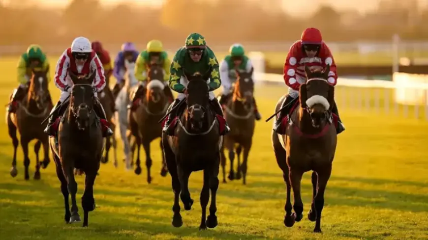 Goraibhmaithagat: Will Bettors Celebrate Victory at 2026 Irish National?