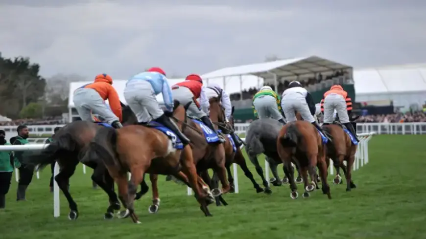 Ladbrokes Offers £30 Bonuses for 2026 Grand National Betting at Aintree