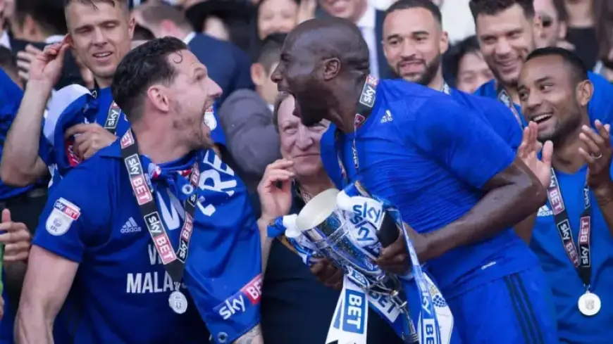 Heroes of Cardiff City’s Last Promotion: New Careers and Heartbreaks Revealed