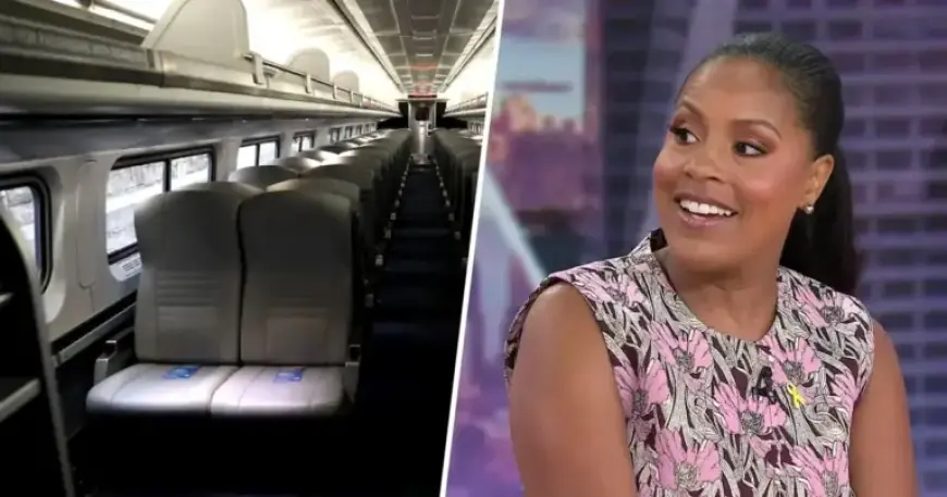 Sheinelle Jones Falls Asleep, Stranded on Amtrak Train