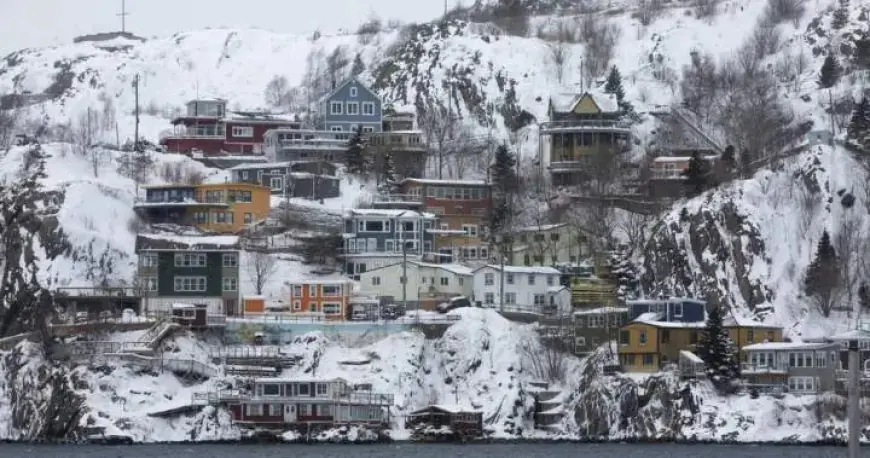 Stranded Flight’s Tale Brings Warm Laughter to Chilly Newfoundland Island