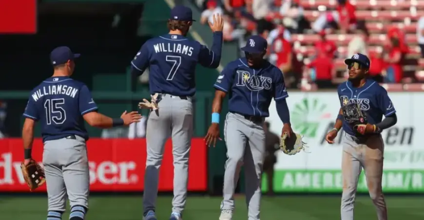 Cubs vs. Rays Series Preview: What to Expect This Season