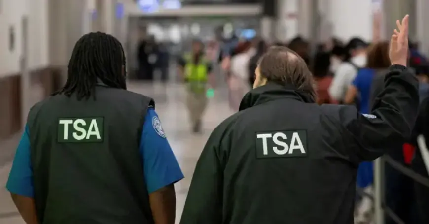 Trump Plans Major Reduction: 9,400 TSA Jobs, $1.5 Billion Cut