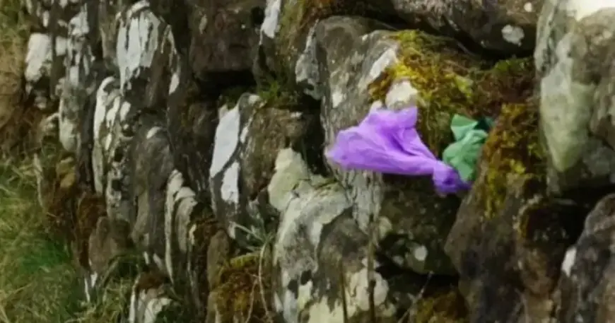 Irresponsible Dog Owners Turn Hadrian’s Wall into Giant Waste Bin