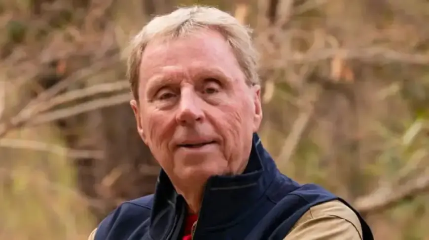Harry Redknapp’s Off-Camera Life: From Horror Crash to Wrongful Arrest