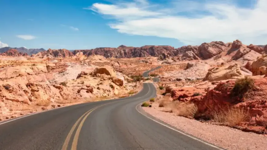 Silence the Noise: Focus on What Matters