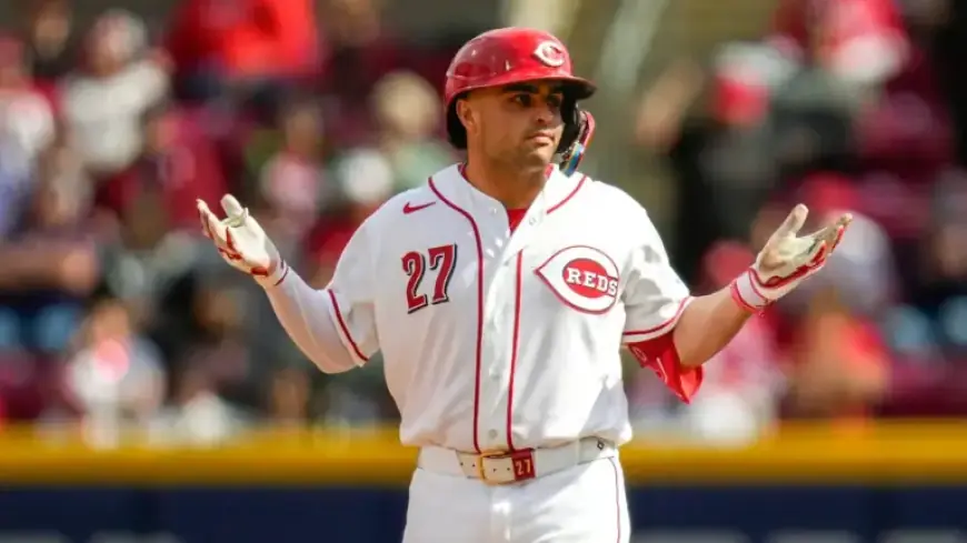 Sal Stewart Declares Long-Term Intent, Reds Face Potential Backlash