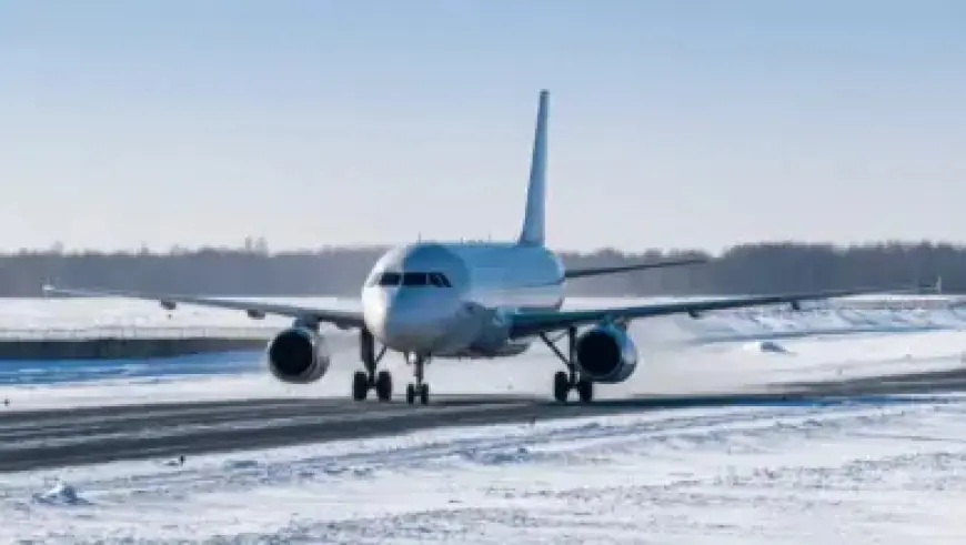 Chinese Exploit NZ Loophole to Open ‘Suspicious’ Airwallex Accounts