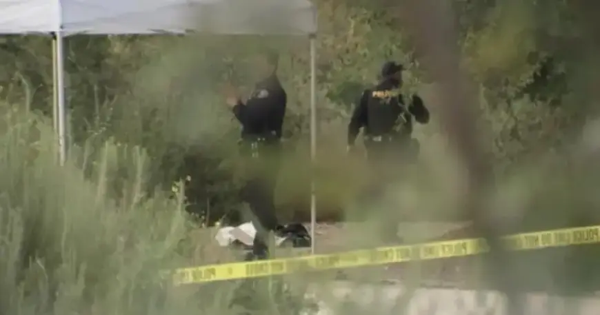 Police Investigate Discovery of Small Human Skull During Easter Egg Hunt