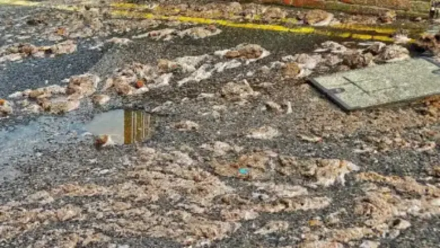 NBA Fans React to Victor Wembanyama’s Injury News During Spurs Game