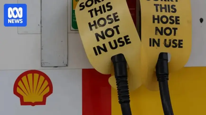 Australian EV Sales Soar as Fuel Concerns Boost Auction and Showroom Demand