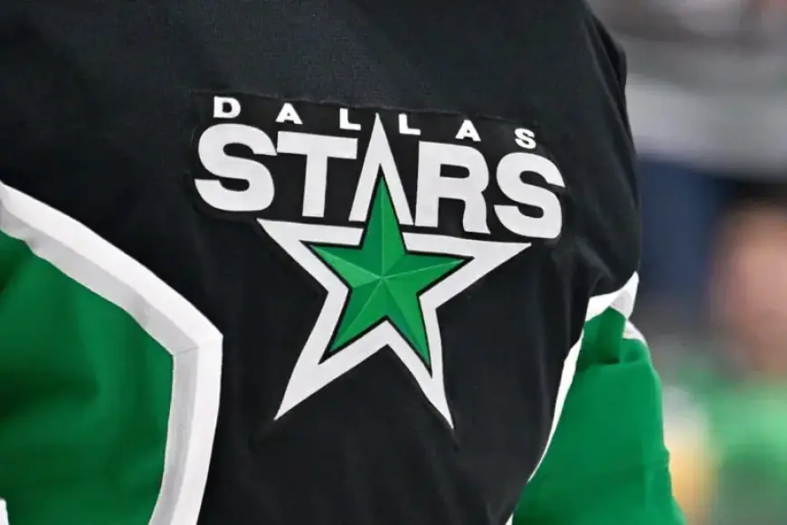 Dallas Stars Expel Fan Group Over Apparent Nazi Salute at Game