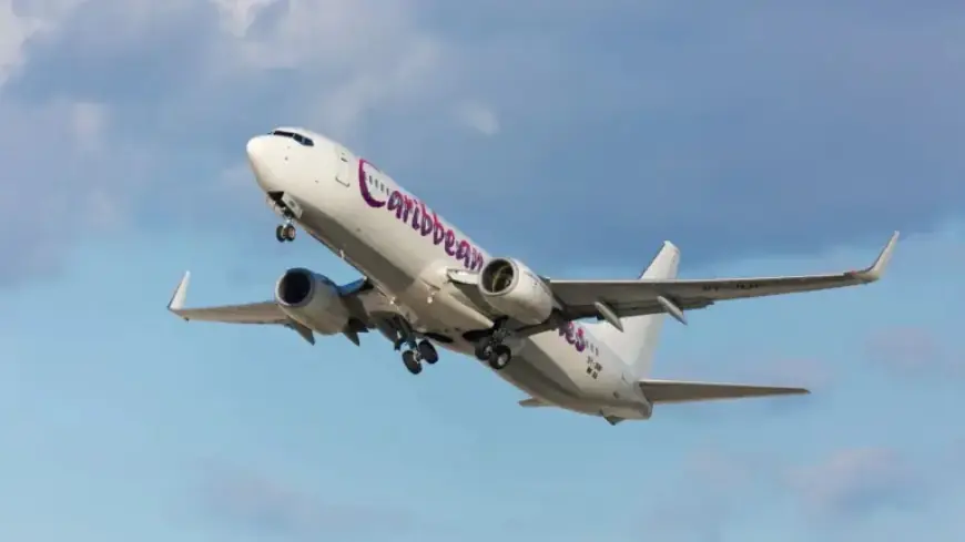 Woman Delivers Baby on Flight from Jamaica to JFK Airport, NYC