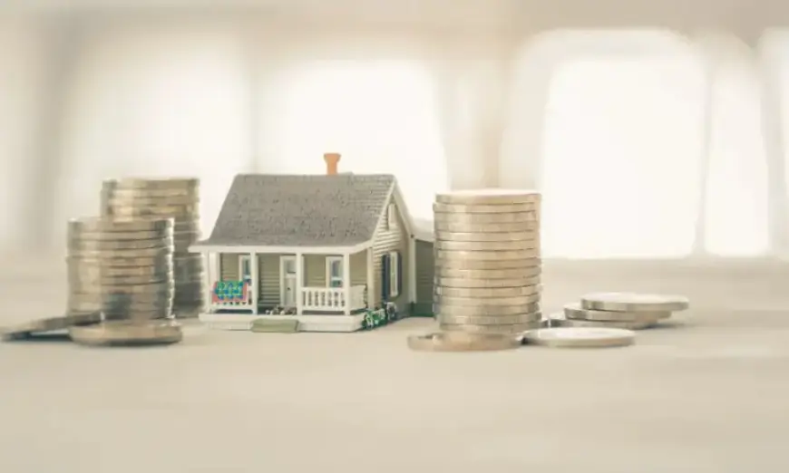 Clarifying the Chaotic Mortgage Market