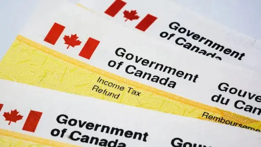 Maximize Your Tax Refund with These Money-Saving Tips