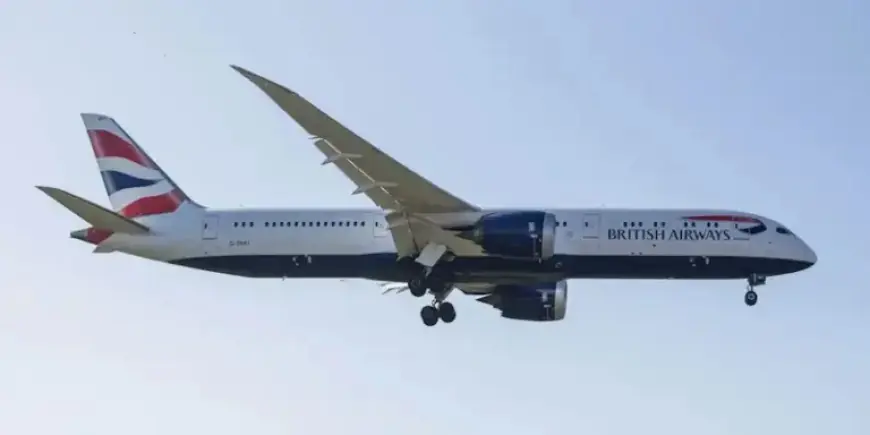 Stranded Airline Passengers Experience NL Hospitality Amid St. John’s Diversion