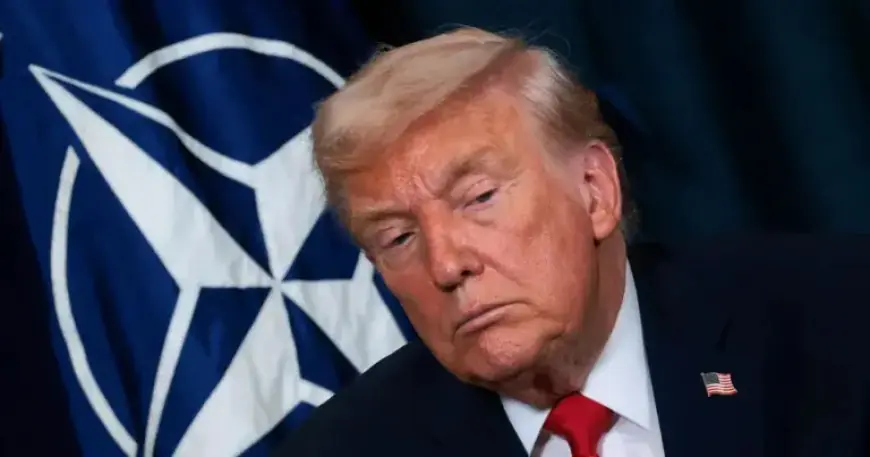 Trump Considers U.S. Withdrawal from NATO, Despite Legal Hurdle