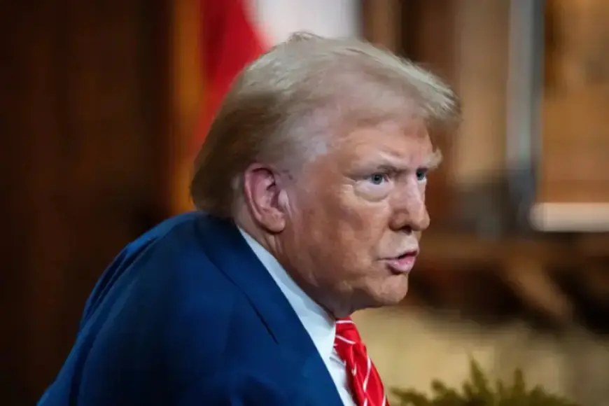 Shannon Bream, Jessica Tarlov Defend Against Trump’s Truth Social Attacks