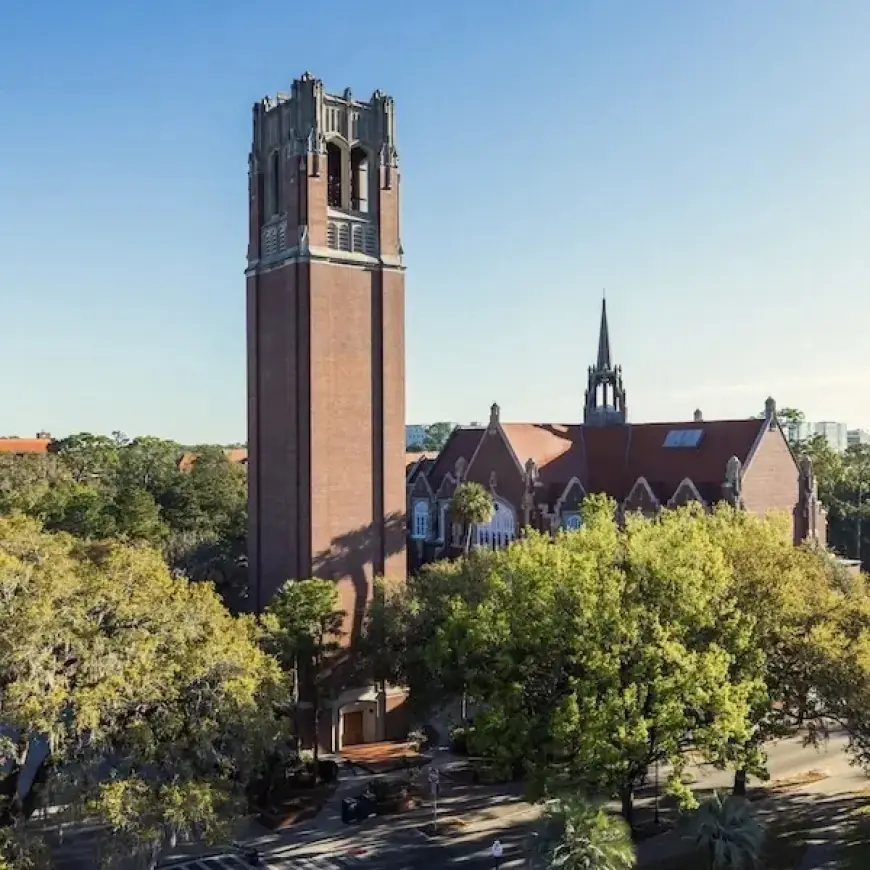 UF Graduate Programs Rise in 2026 U.S. News Rankings, Education Among Top