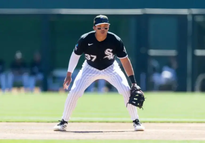 White Sox Move Austin Hays to IL, Select Dustin Harris