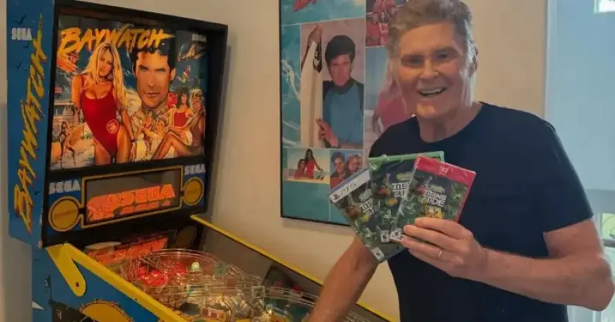 David Hasselhoff Uses Hiking Poles and Wife’s Support in Rare Outing