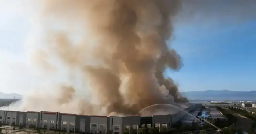 Firefighters Withdraw as Massive Paper Warehouse Engulfed in Flames, Roof Collapses