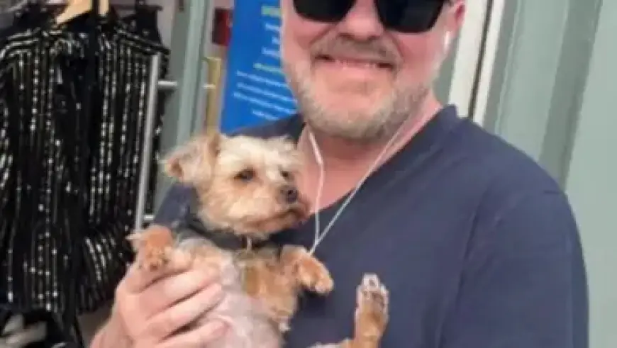 Stewart Calls for Focus as Glentoran Prepares for Cliftonville Test