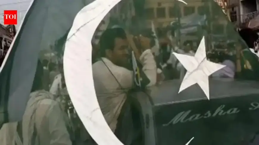 Pak Senator Criticizes India-UAE Relations Amid Akhand Bharat Concerns