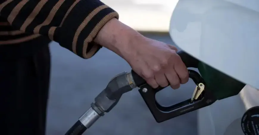 US EIA Warns Fuel Prices May Rise for Months Despite Hormuz Reopening