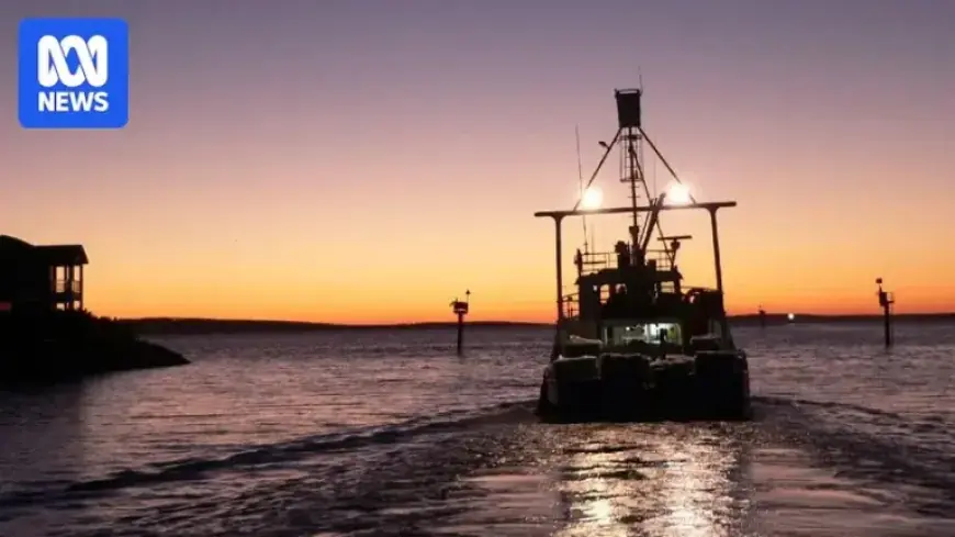 Tuna Deaths in South Australia Not Linked to Algal Bloom